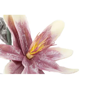 MAGNOLIA X2 Fioletowa 25X98 cm MIN 12